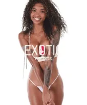Zimmie