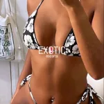 Stella