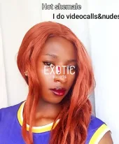 xtordi