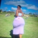 Fanda
