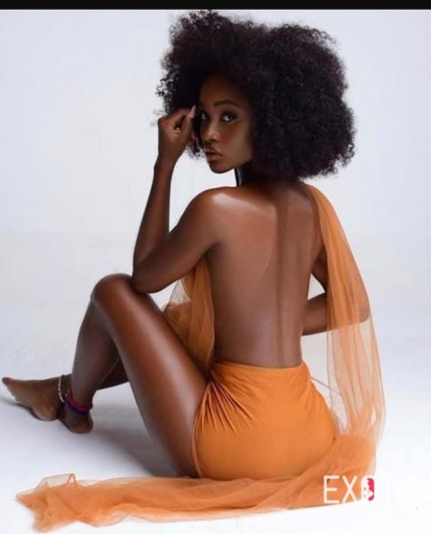 Tasha, escort in Kilimani, Kenya