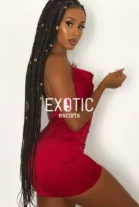south-b-escorts